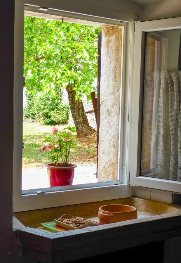 Casa Istriana Nona Pina Villa Kaštelir Kültér fotó